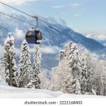 74483期最新开奖结果查询与中奖号码公布 ax3hwj0aj4