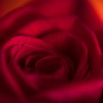 74499最新开奖结果今日公布,速来查看幸运号码 k43zyvi5e7