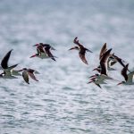 7479期最新开奖结果已公布速来查看 pt1yvr3nz