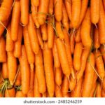 NBA小牛队最新赛事直播,精彩对决不容错过 2zjiyys5